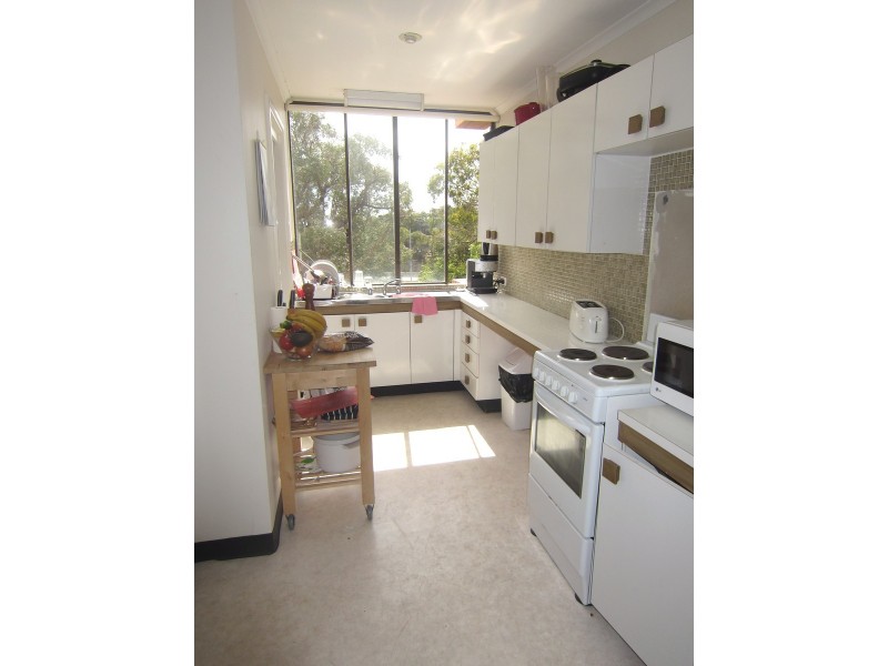 11/20 Moodie St, Cammeray NSW 2062