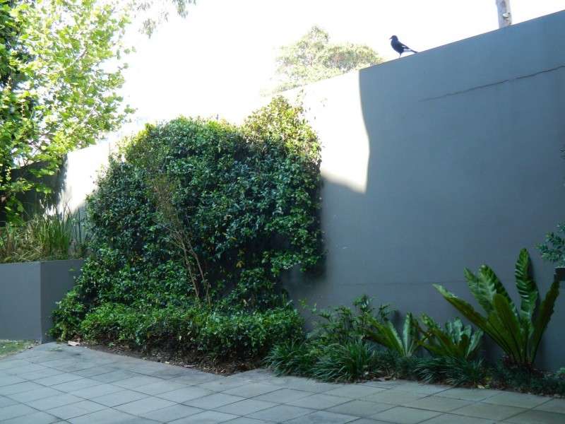 12/129 – 133 Spit Road, Mosman NSW 2088