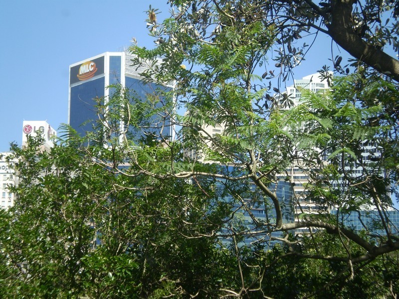 3/4 Holdsworth St, Neutral Bay NSW 2089