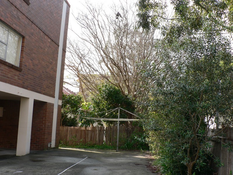 3/17 Mitchell Rd, Mosman NSW 2088