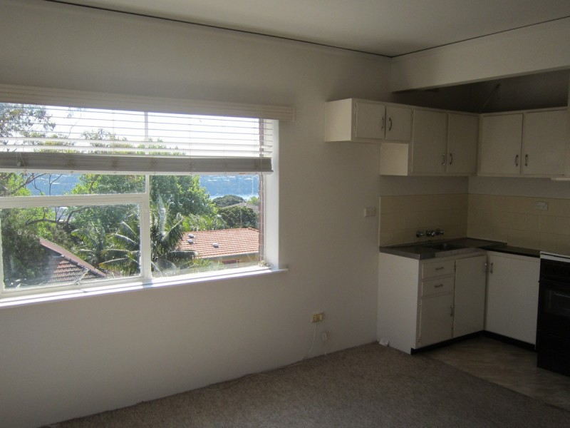 3/17 Mitchell Rd, Mosman NSW 2088