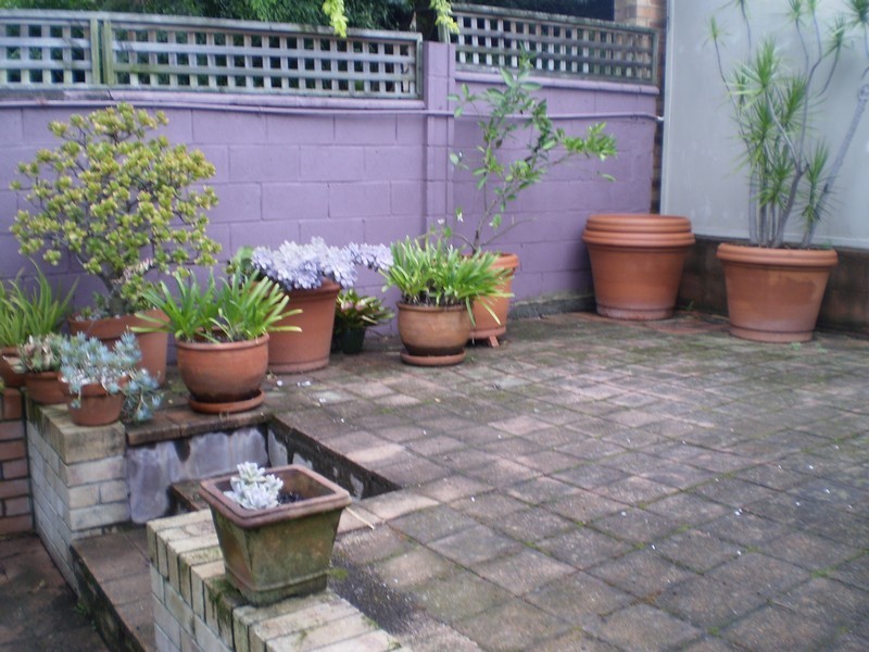 65 Hayberry Street, Crows Nest NSW 2065