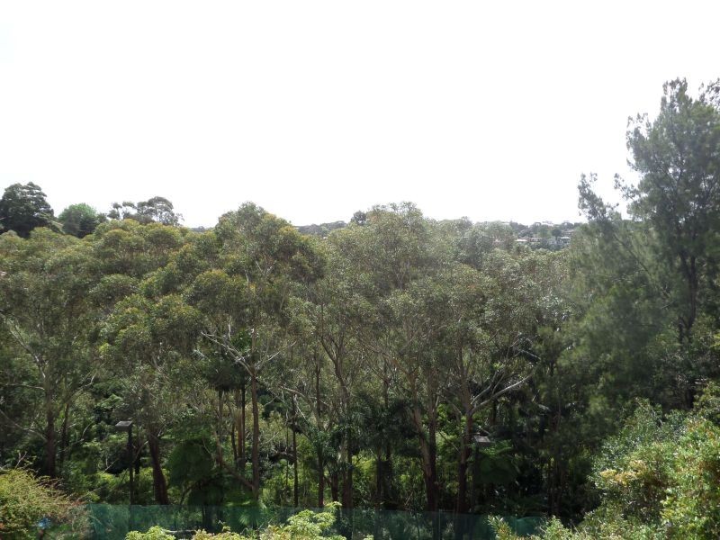 1/56 Abbots Street, Cammeray NSW 2062