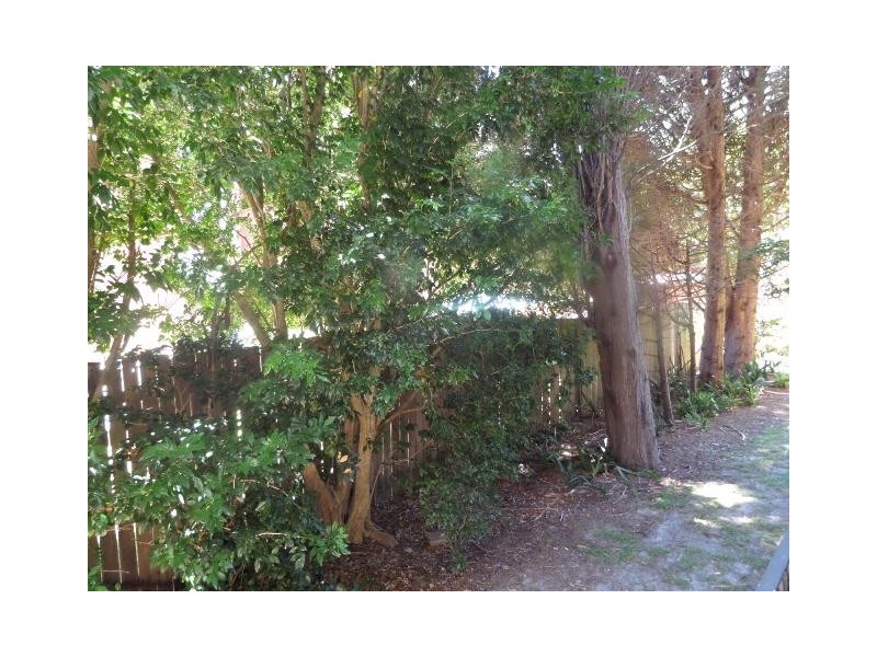 10/113 Shadforth Street, Mosman NSW 2088