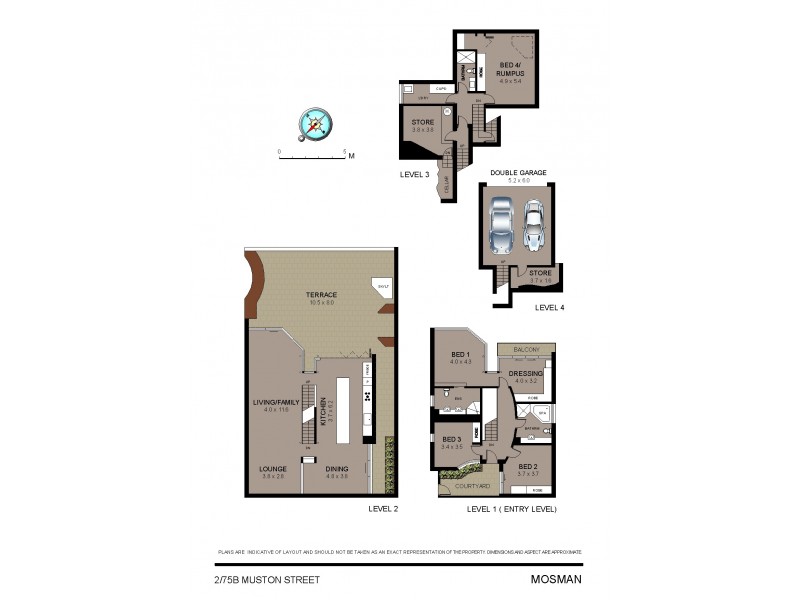 75b Muston Street, Mosman NSW 2088 Floorplan
