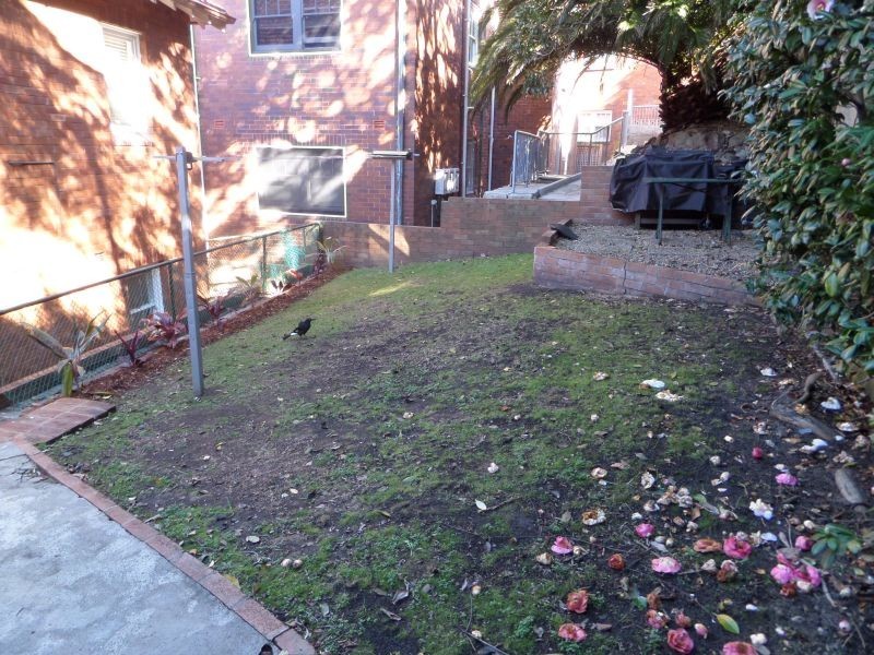 1/2 Hollowforth Avenue, Neutral Bay NSW 2089