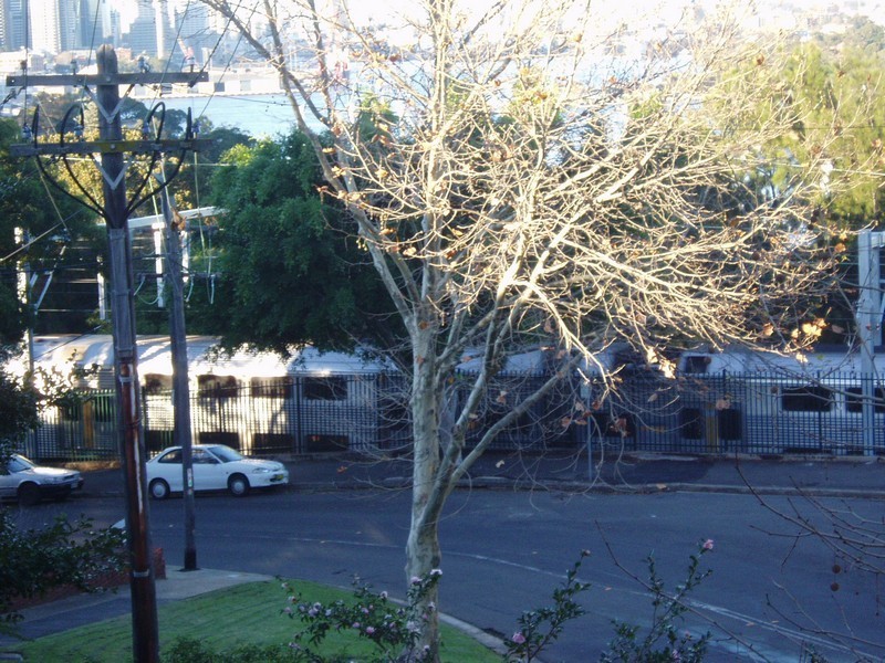 10/10 Carr Street, Waverton NSW 2060