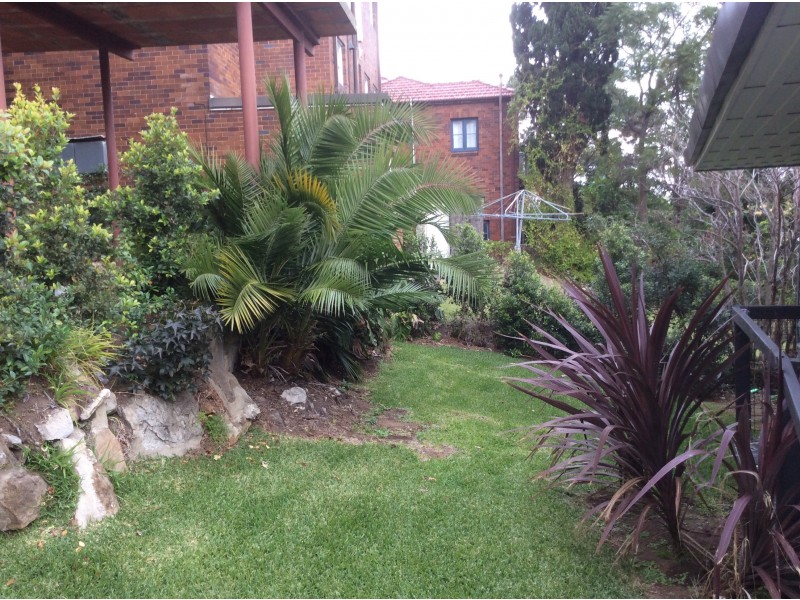 2/20 Premier Street, Neutral Bay NSW 2089