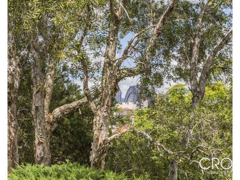 3/71 Kurraba Rd, Neutral Bay NSW 2089