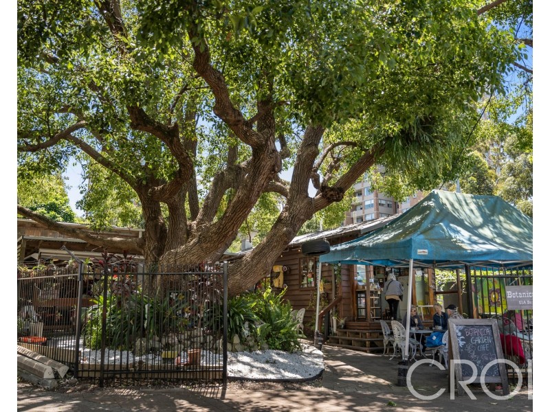 10 Tunks Street, Waverton NSW 2060