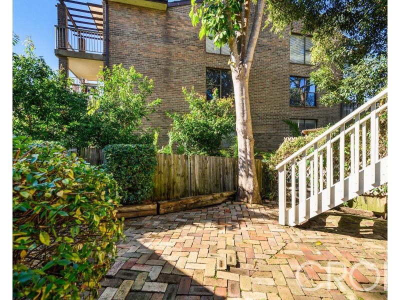 1/3 Toongarah Road, Waverton NSW 2060