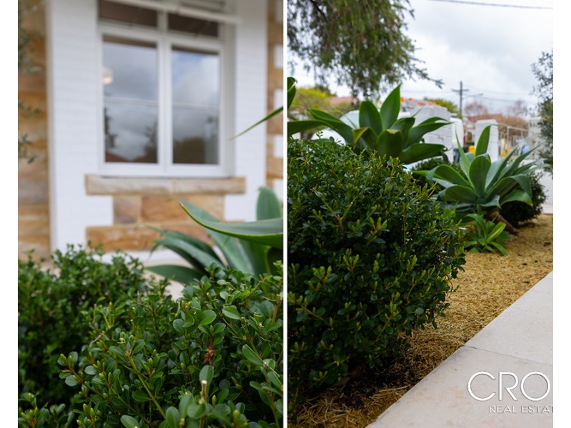 74 Wetherill Street, Leichhardt NSW 2040