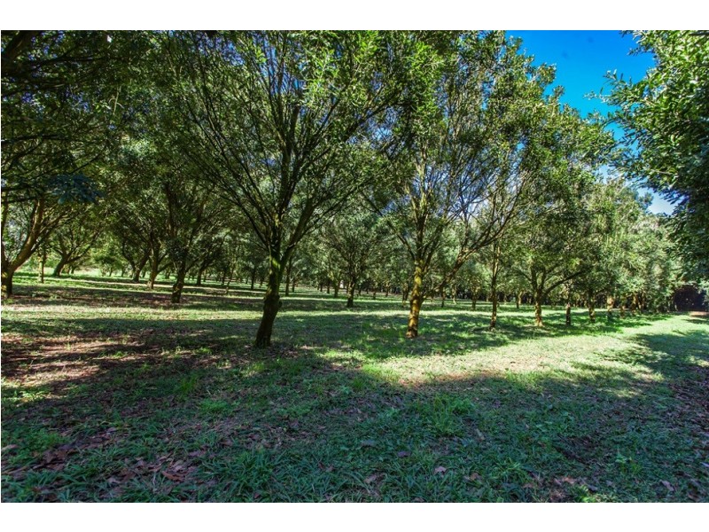 Brooklet NSW 2479