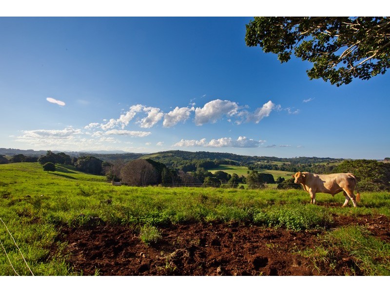 Binna Burra NSW 2479