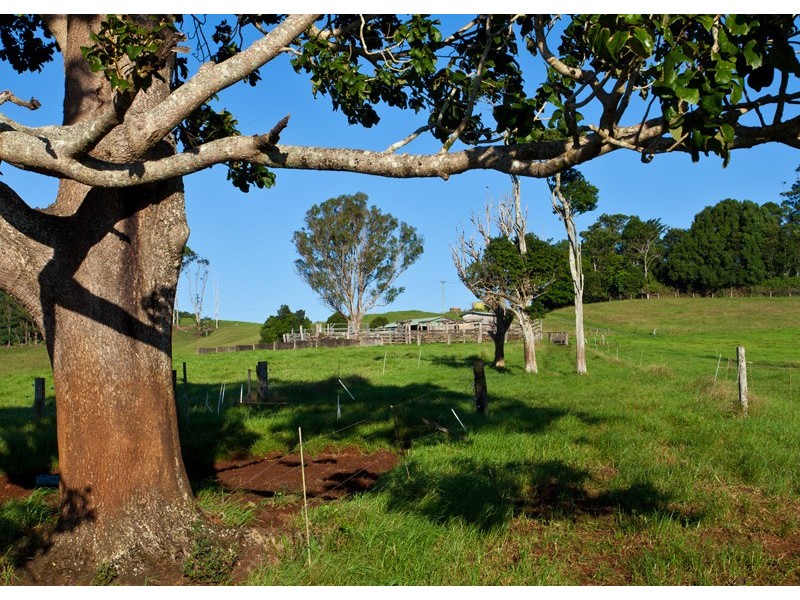 Binna Burra NSW 2479