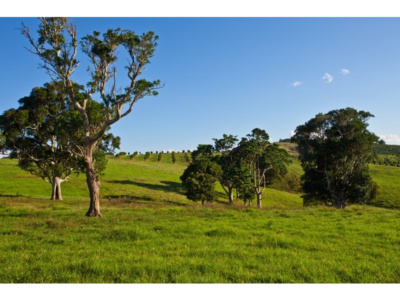 Binna Burra NSW 2479