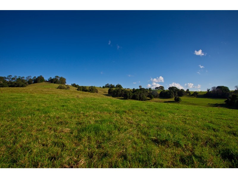 Binna Burra NSW 2479