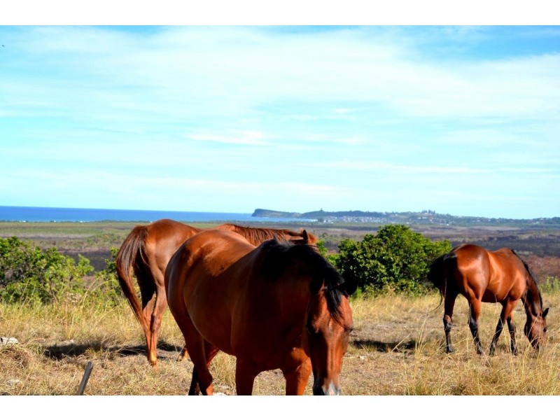 Broken Head NSW 2481