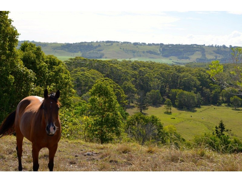 Broken Head NSW 2481