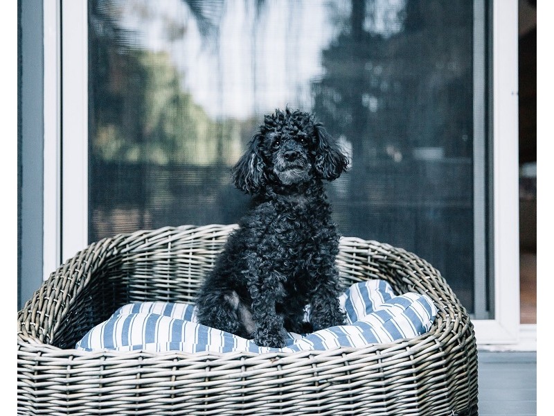 1/45 Childe Street, Byron Bay NSW 2481