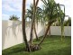 40 Brownell Drive, Byron Bay NSW 2481