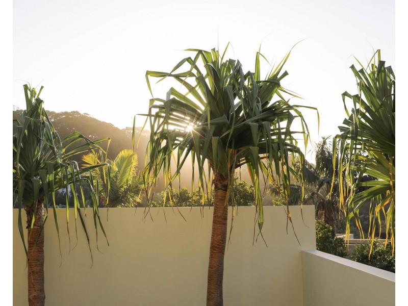 40 Brownell Drive, Byron Bay NSW 2481