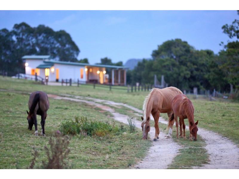 200 St Helena Road, Mcleods Shoot NSW 2479