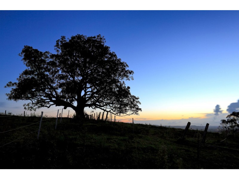 200 St Helena Road, Mcleods Shoot NSW 2479