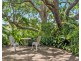 3 Scott Street, Murwillumbah NSW 2484