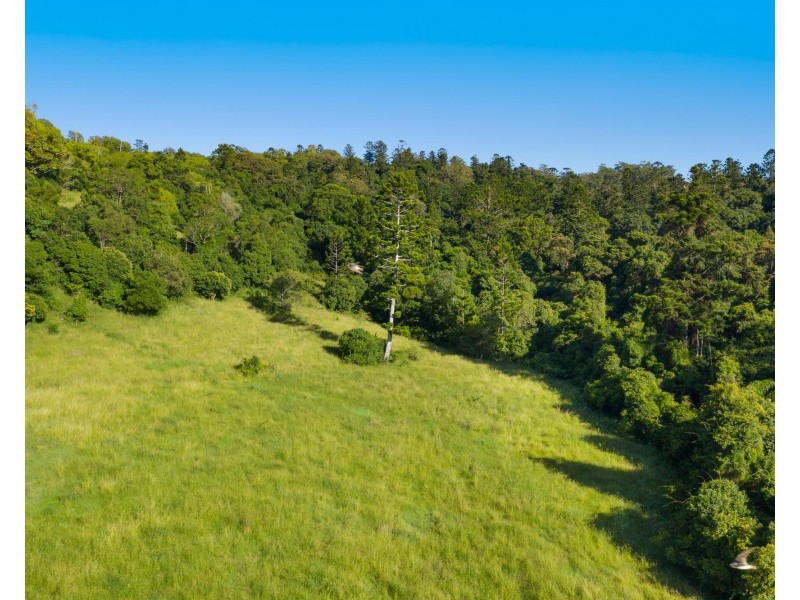 245 Wyrallah Road, Monaltrie NSW 2480