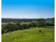 245 Wyrallah Road, Monaltrie NSW 2480