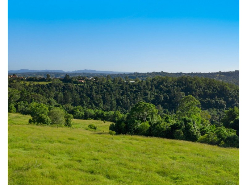 245 Wyrallah Road, Monaltrie NSW 2480