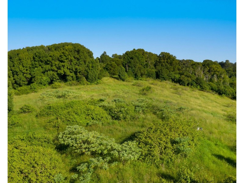 245 Wyrallah Road, Monaltrie NSW 2480