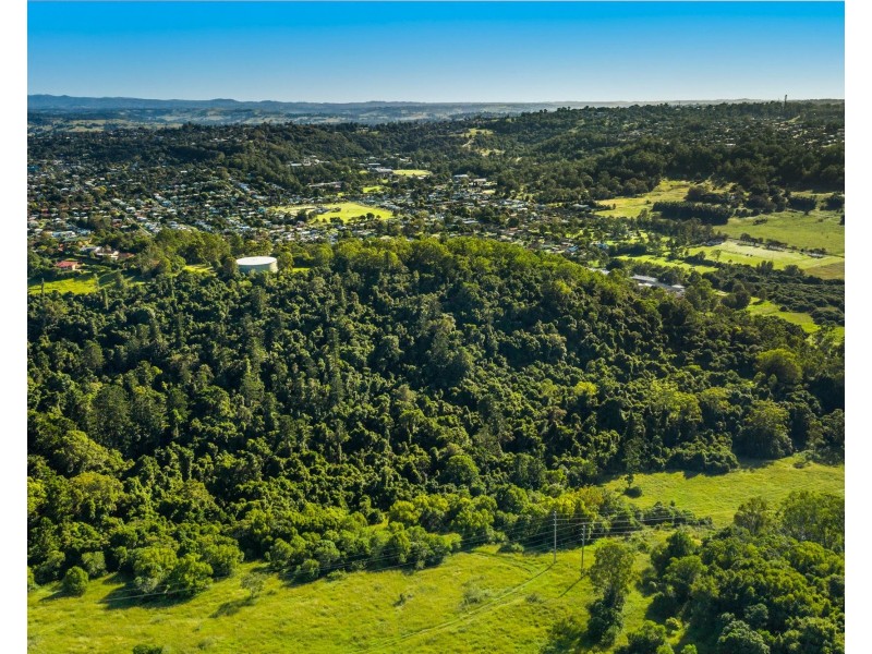 245 Wyrallah Road, Monaltrie NSW 2480