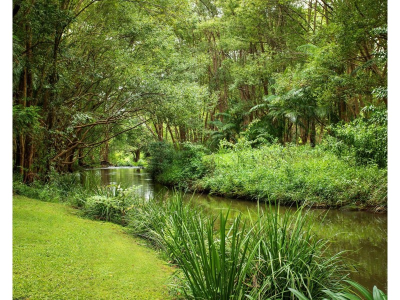 111 Friday Hut Road, Tintenbar NSW 2478