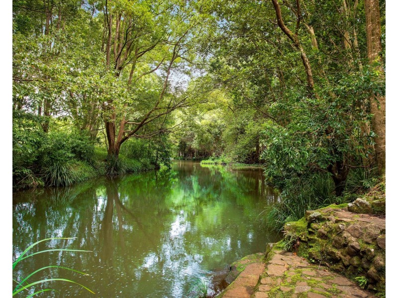 111 Friday Hut Road, Tintenbar NSW 2478