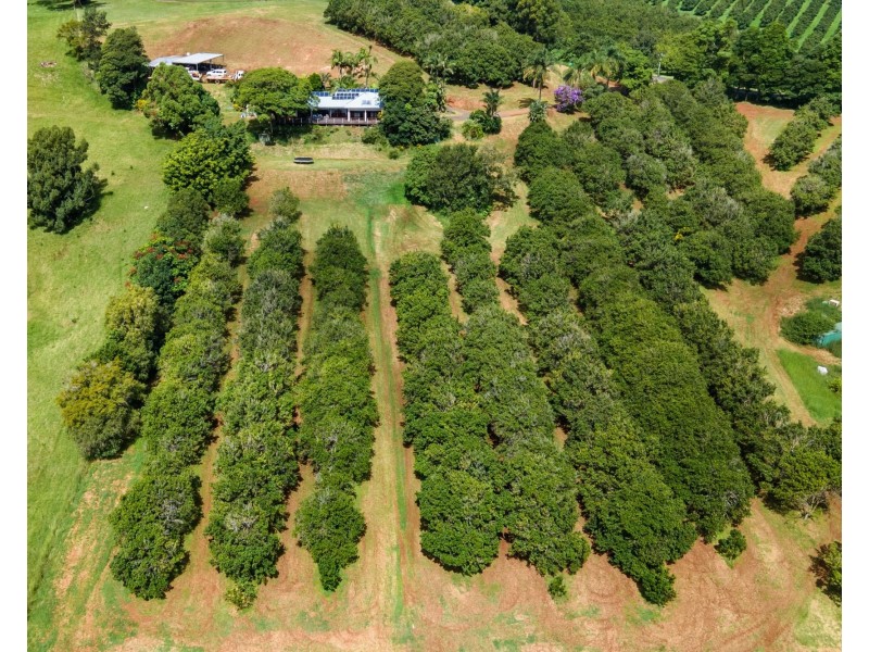 72 Nashua Road, Fernleigh NSW 2479