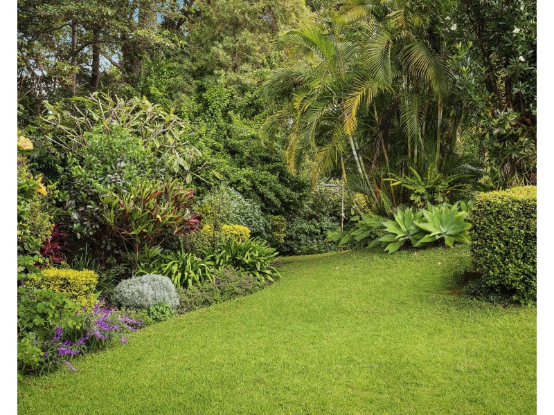 Farrants Hill NSW 2484