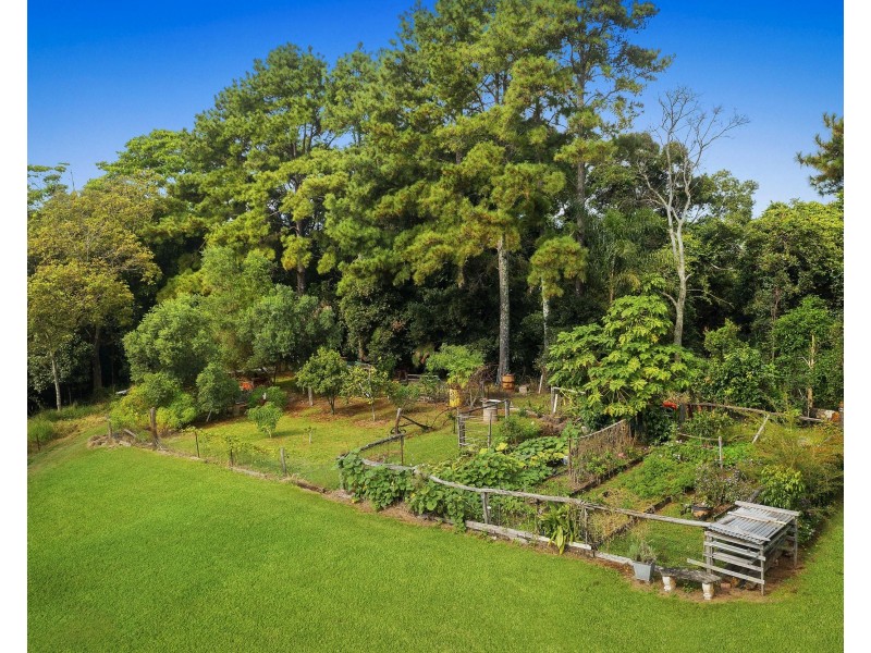 Farrants Hill NSW 2484