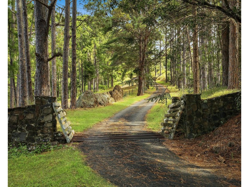 Farrants Hill NSW 2484