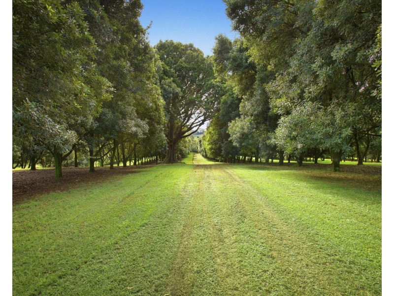 10 Kirklands Lane, Teven NSW 2478