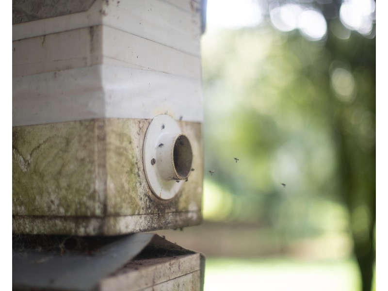 10 Kirklands Lane, Teven NSW 2478