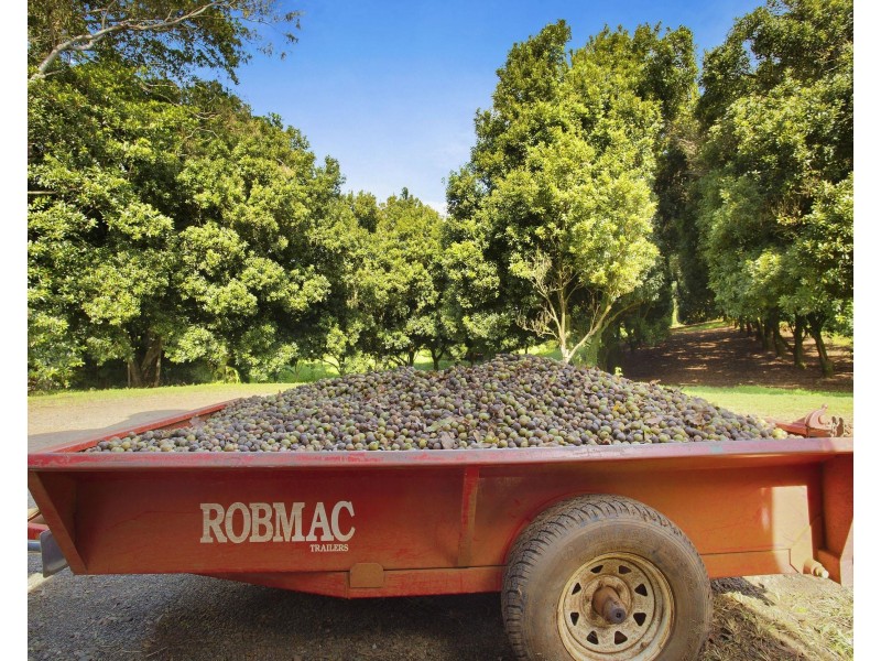 10 Kirklands Lane, Teven NSW 2478