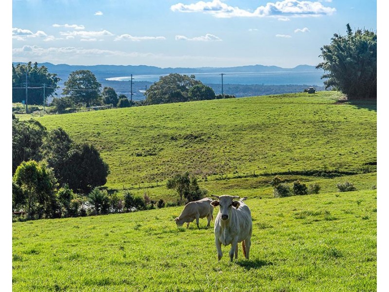 56 Coopers Shoot Rd, Coopers Shoot NSW 2479