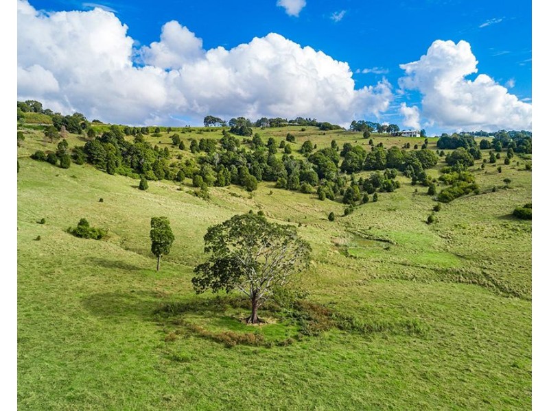 1683 Hinterland Way, Ewingsdale NSW 2481