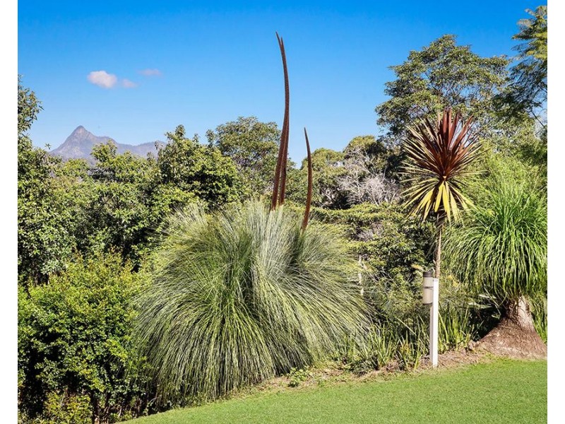 344 Nobbys Creek Road, Nobbys Creek NSW 2484