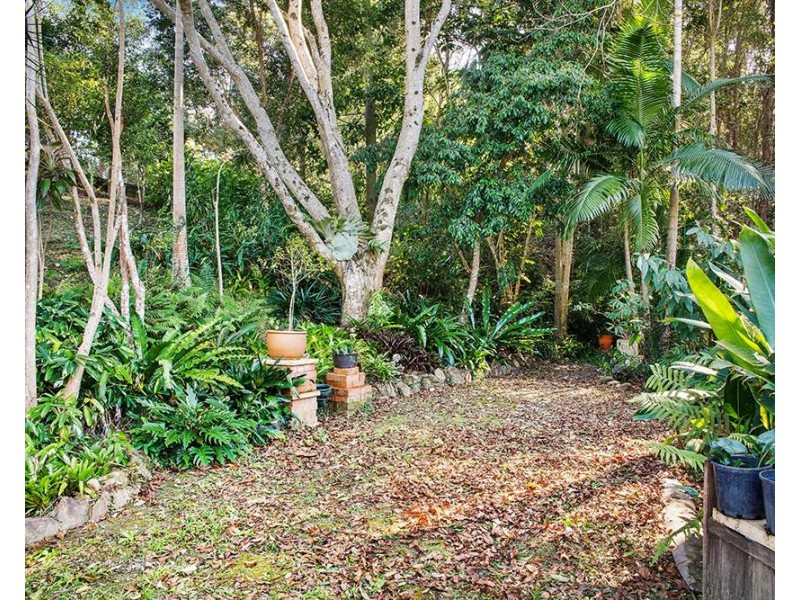 344 Nobbys Creek Road, Nobbys Creek NSW 2484