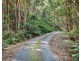 344 Nobbys Creek Road, Nobbys Creek NSW 2484
