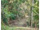 344 Nobbys Creek Road, Nobbys Creek NSW 2484