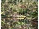 344 Nobbys Creek Road, Nobbys Creek NSW 2484